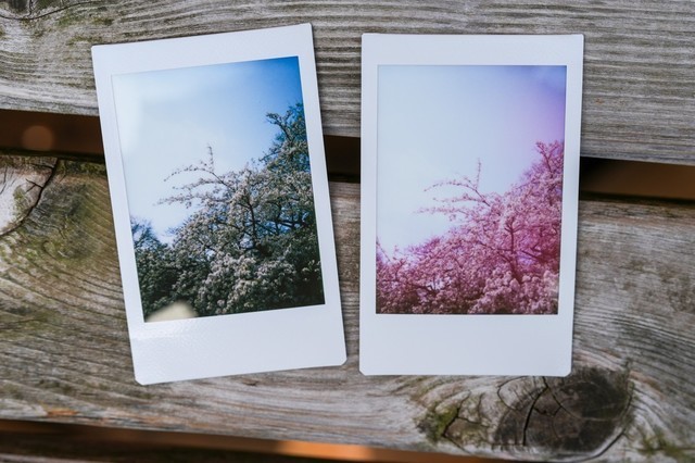 一次成像也有高级感 富士instax mini 99拍立得相机上手评测