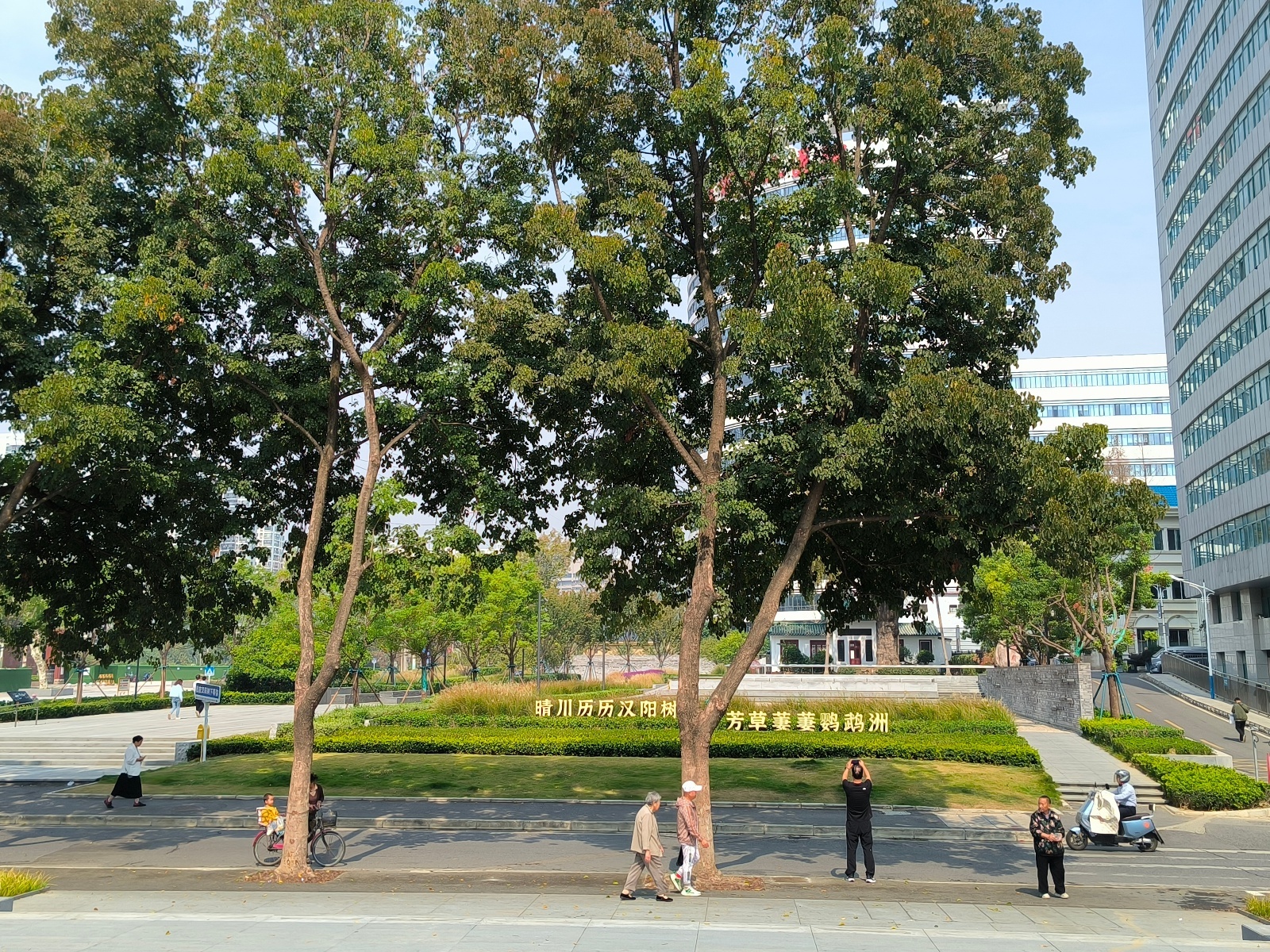 241010000000000.jpg