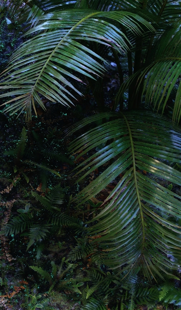 《波斯王子:失落的王冠》即将面市