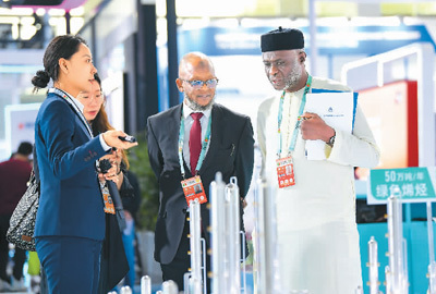 图为在第六届中阿博览会上，嘉宾们了解清洁能源项目。新华社记者 冯开华 摄