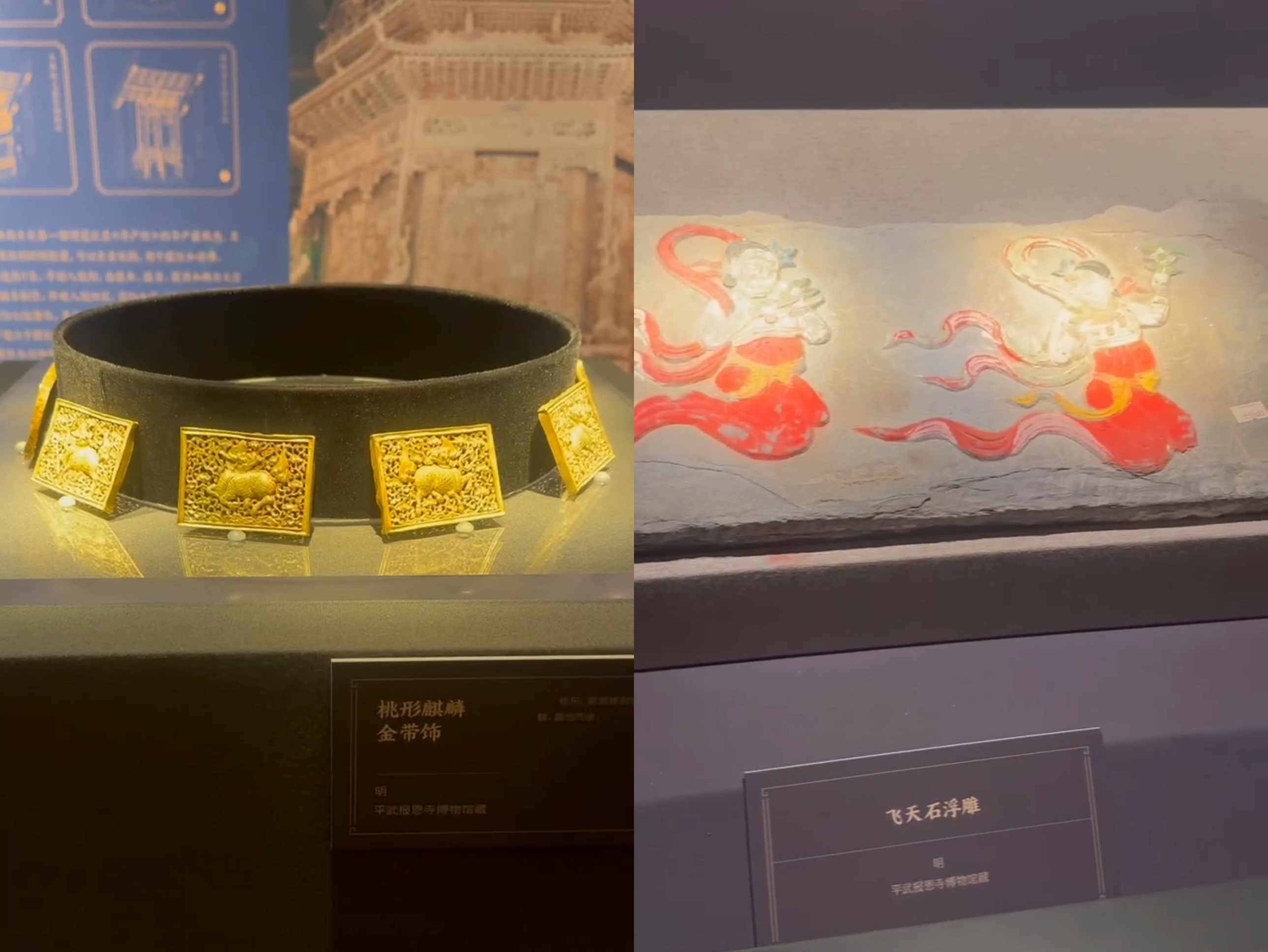 下载 (7).png
