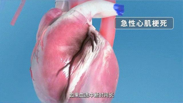 泽桥原创 版权联系