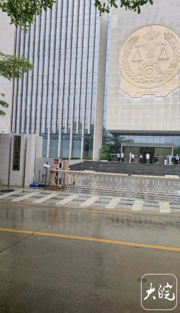 佳玲被拐案在深圳龙岗区人民法院开庭