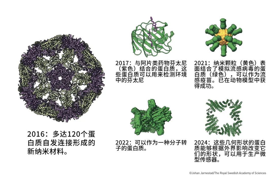 AI凭啥又得奖？就凭它半小时干完了几年的活