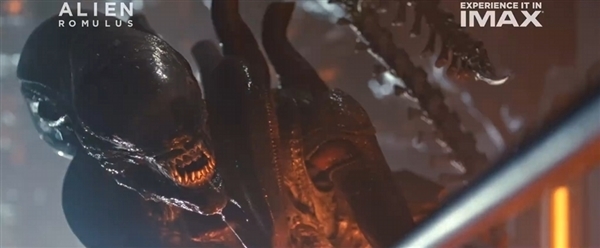 R级电影《异形:夺命舰》8月16日内地上映:一刀未剪!