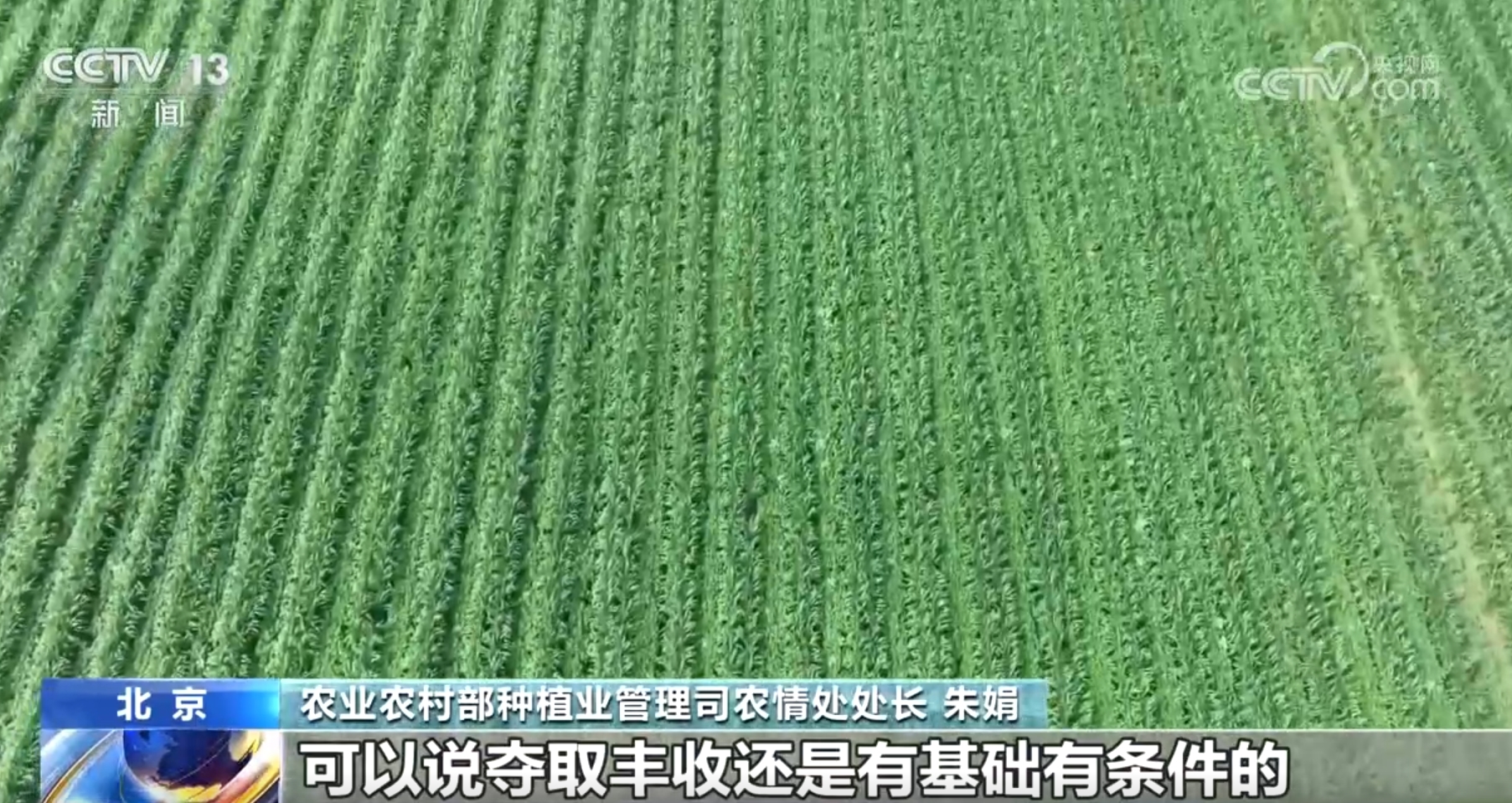 CE063B3387383802244E37B6E119EA0C8371763F_size1058_w1805_h958.jpg