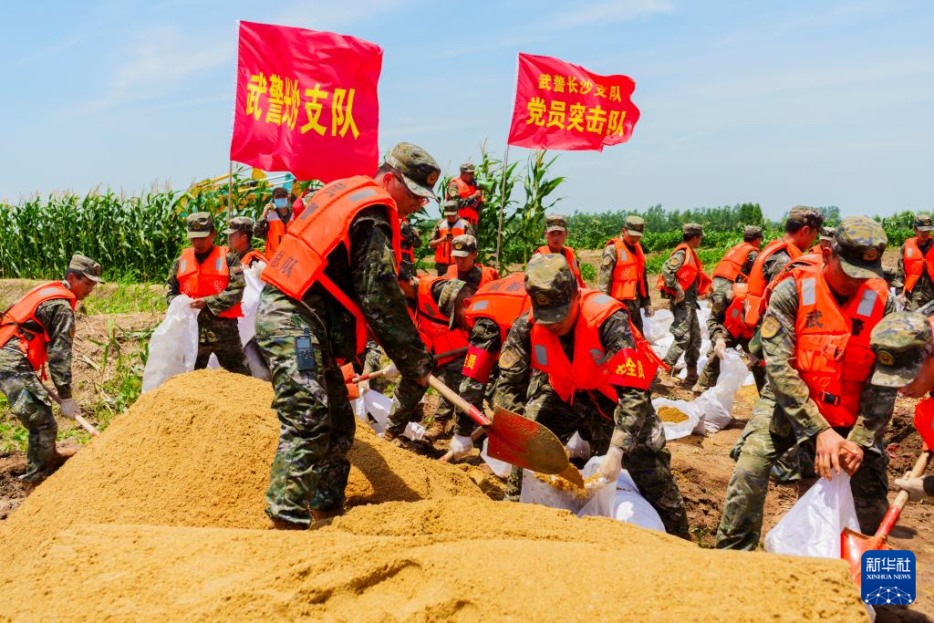 抗洪|尖刀班,突击队,压舱石—军队救援力量参加岳阳华容防汛救灾