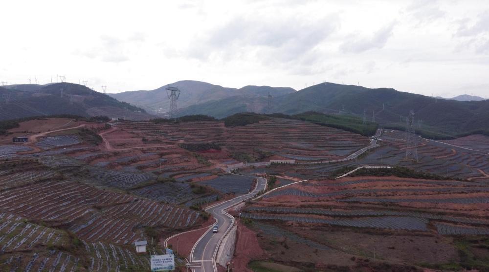 火普村的蓝莓基地一角（无人机照片）。新华社记者 尹恒 摄