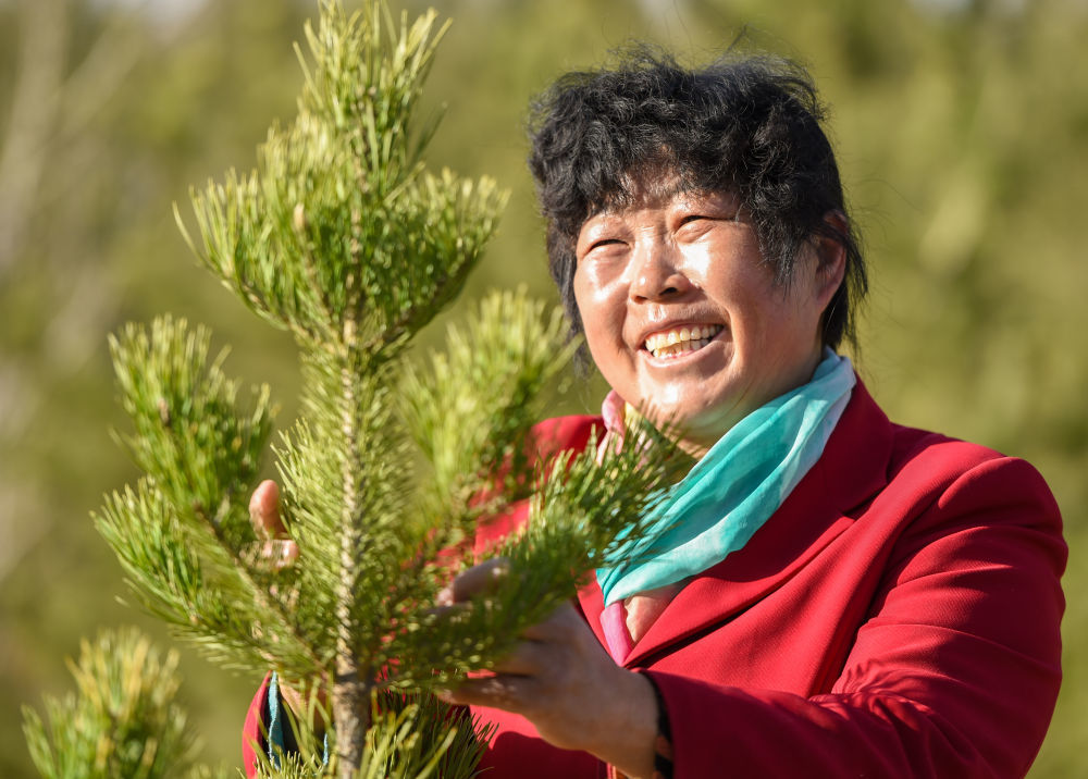 2021年3月23日，在内蒙古鄂尔多斯乌审旗境内毛乌素沙漠深处，“治沙劳模”殷玉珍看着栽下的松树苗露出微笑。