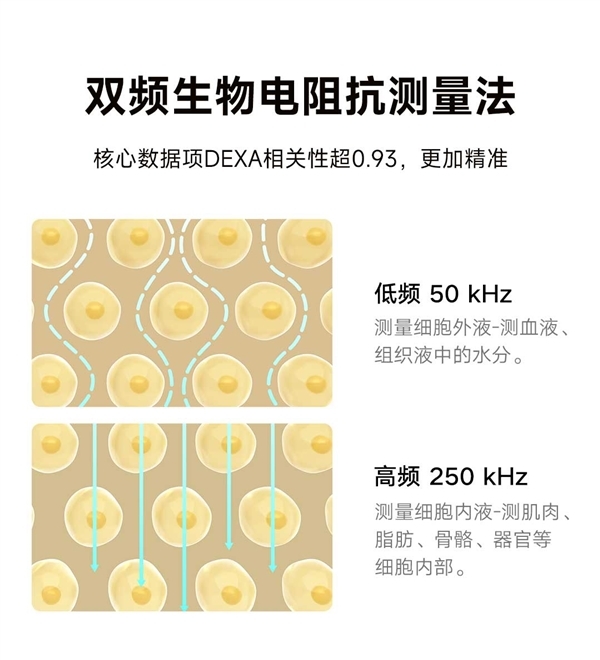 179元 小米米家体脂秤S400 Pro发布:升级3.5英寸彩屏