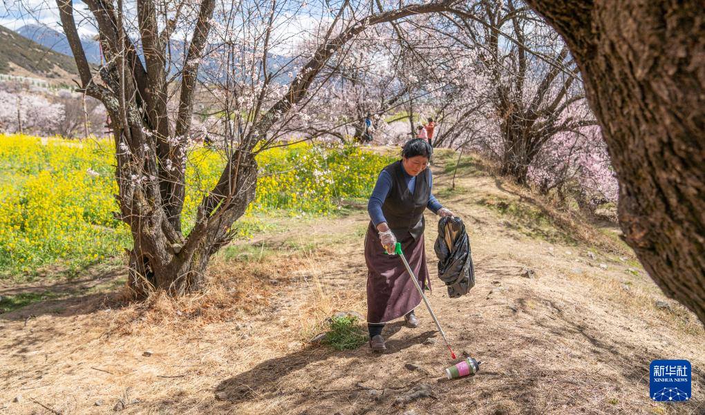 尼玛曲吉在嘎拉村桃花园里捡拾垃圾（4月1日摄）。新华社记者 丁增尼达 摄