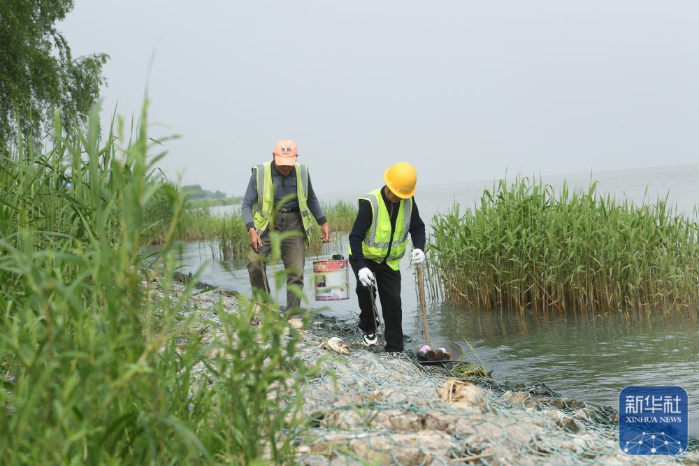 4月11日，河道保洁员在位于浙江湖州的太湖沿岸清理垃圾。