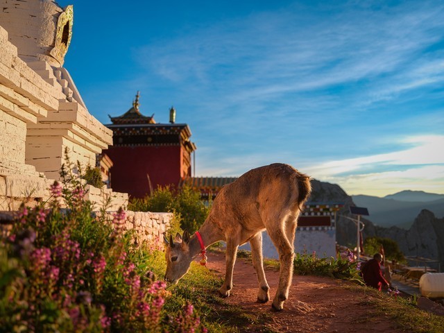 满足1亿像素中画幅 富士GFX中画幅镜头选购指南