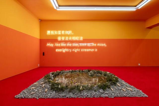 ▲ 李琳琳,《阿拉斯加的鳕鱼》展览现场