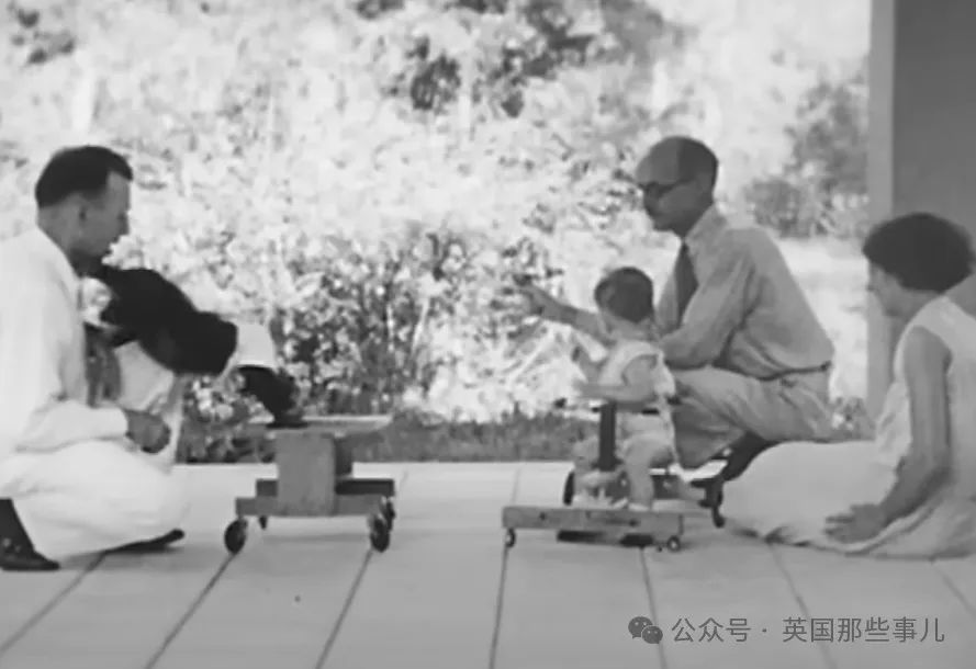 实验画面,图片来自Youtube