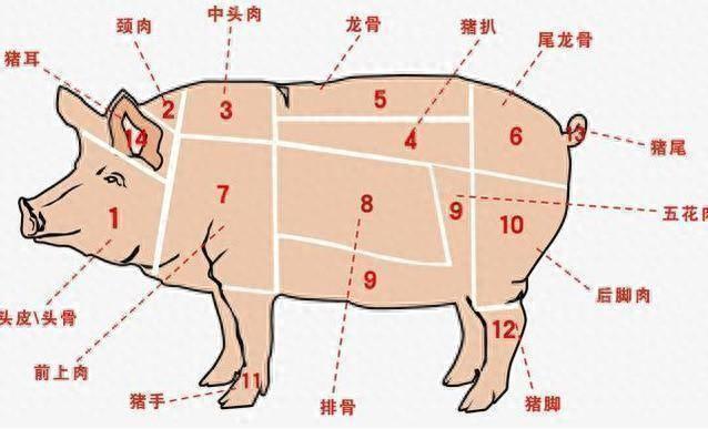 猪身上的7个部位，医生建议少吃，大肠排最后，榜首的很多人爱吃