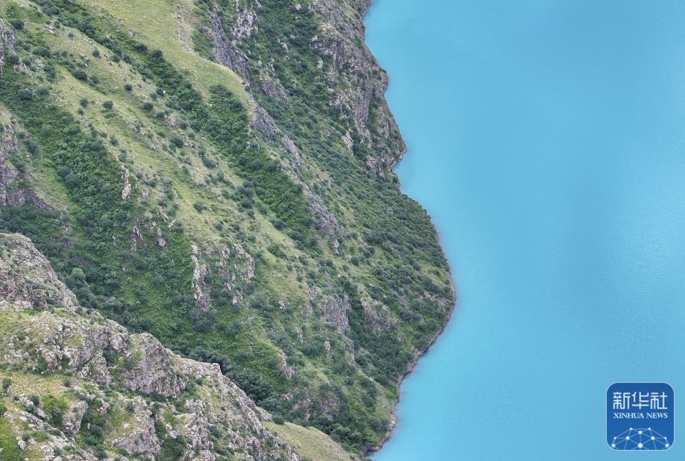 这是7月11日在新疆昭苏拍摄的玉湖景区（无人机照片）。