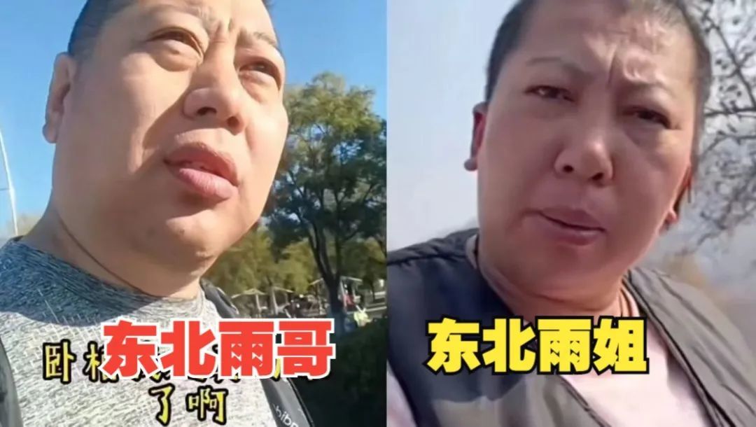 “消失”的东北雨姐：口碑反噬，早已注定_凤凰网