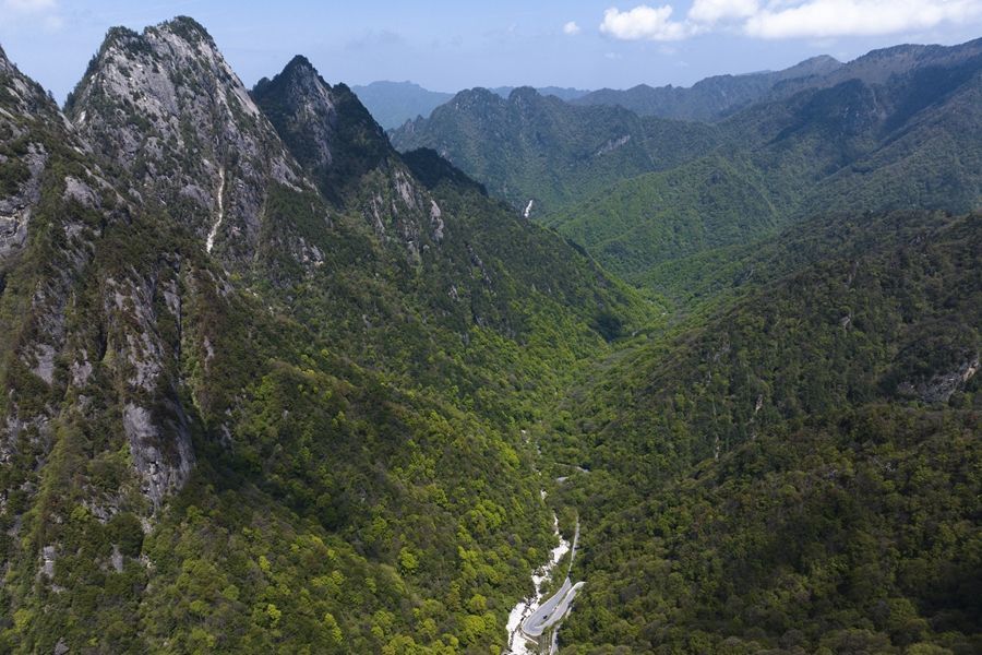 位于宝鸡的秦岭太白山景区景色(2024年5月10日摄,无人机照片)。新华社记者 邵瑞 摄