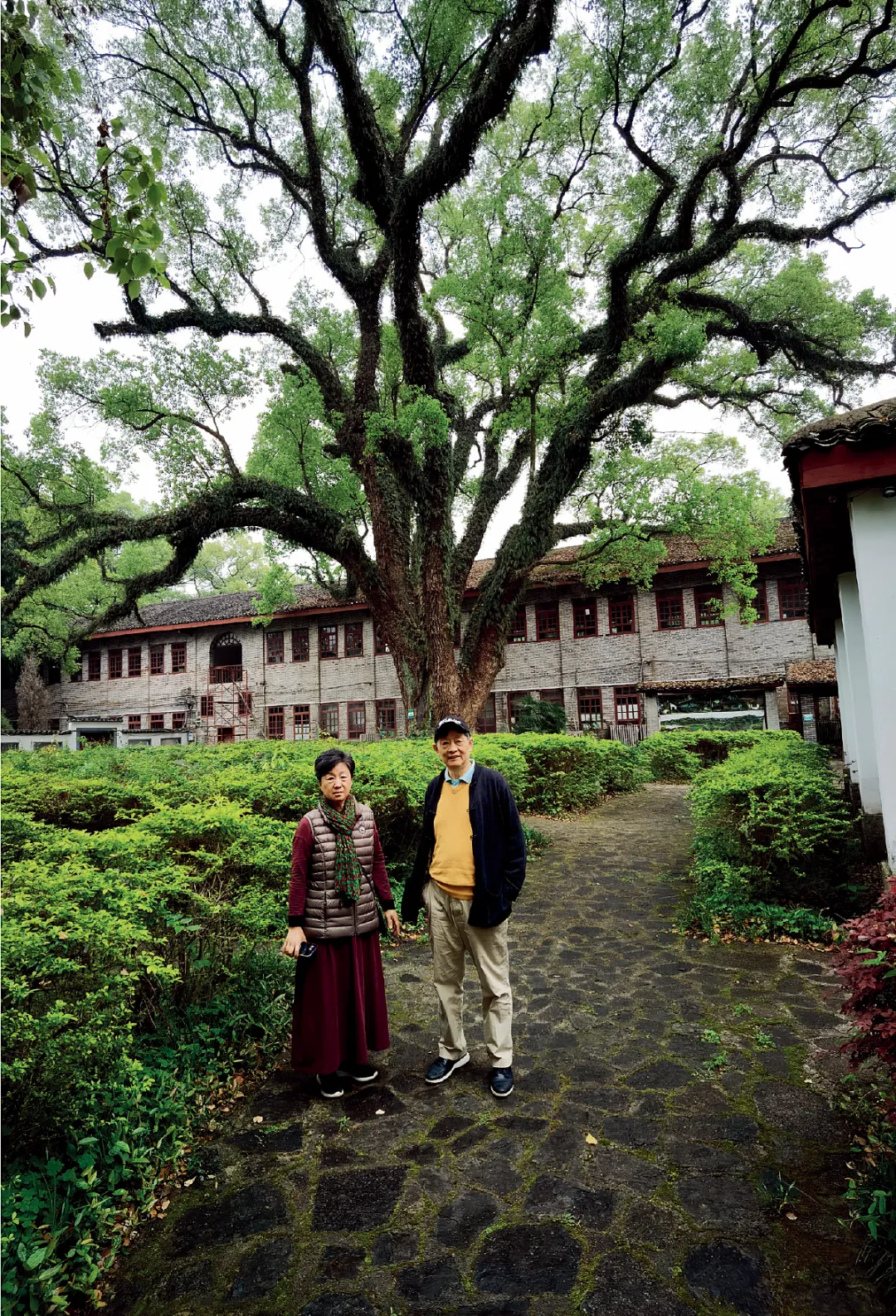 2021年4月，何迪与妻子王苗访问广西大学旧址，摄于桂林雁山园的大榕树下。本文图/受访者提供