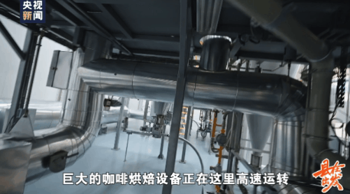 “舌尖”上的千亿级产业链：从“一颗生豆”到“一杯咖啡”