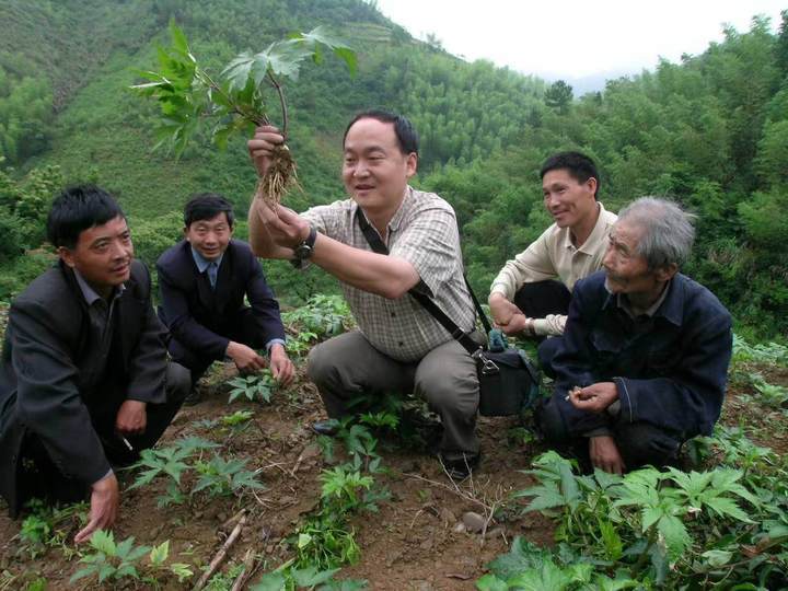 2003年,俞旭平作为科技特派员,入驻淳安县枫树岭镇下姜村,帮助村民种植中药材致富。俞旭平本人供图