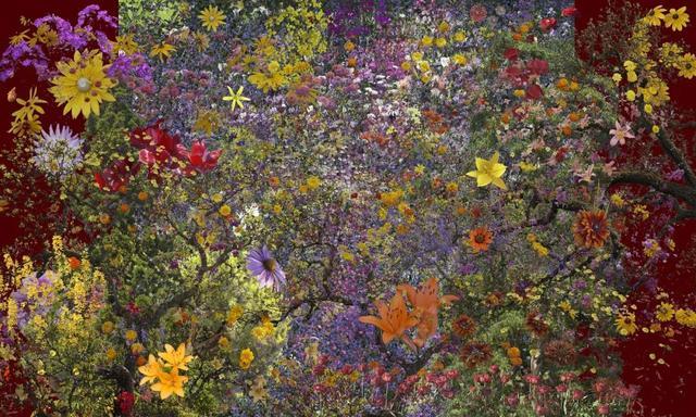 ▲《抽象 29》吉维尼系列,让·弗朗索瓦·赫奇耶,2024,图片© Jean-François Rauzier