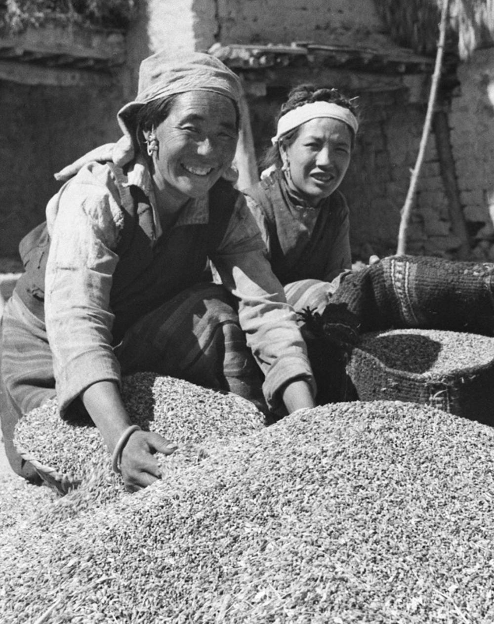 1962年，西藏山南拉加里县（现为曲松县）的妇女因青稞丰收而喜上眉梢。