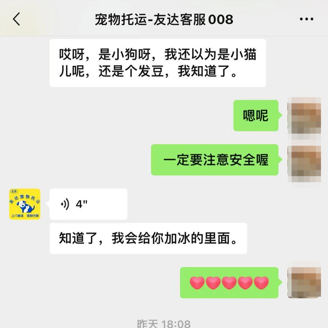 女子航空托运法斗犬，不料当天收到爱犬死亡噩耗，网络平台：托运店因“证件问题”已被屏蔽