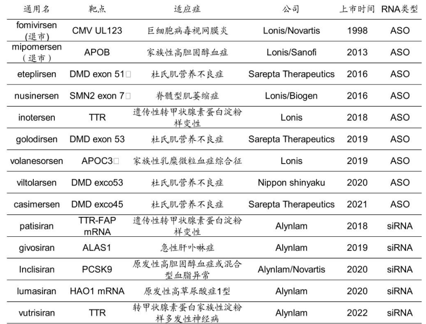 已上市小核酸药物一览，国金证券