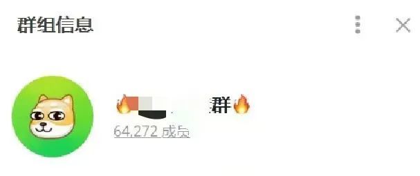 张蕾的照片和信息,被发布在6万多人的群组