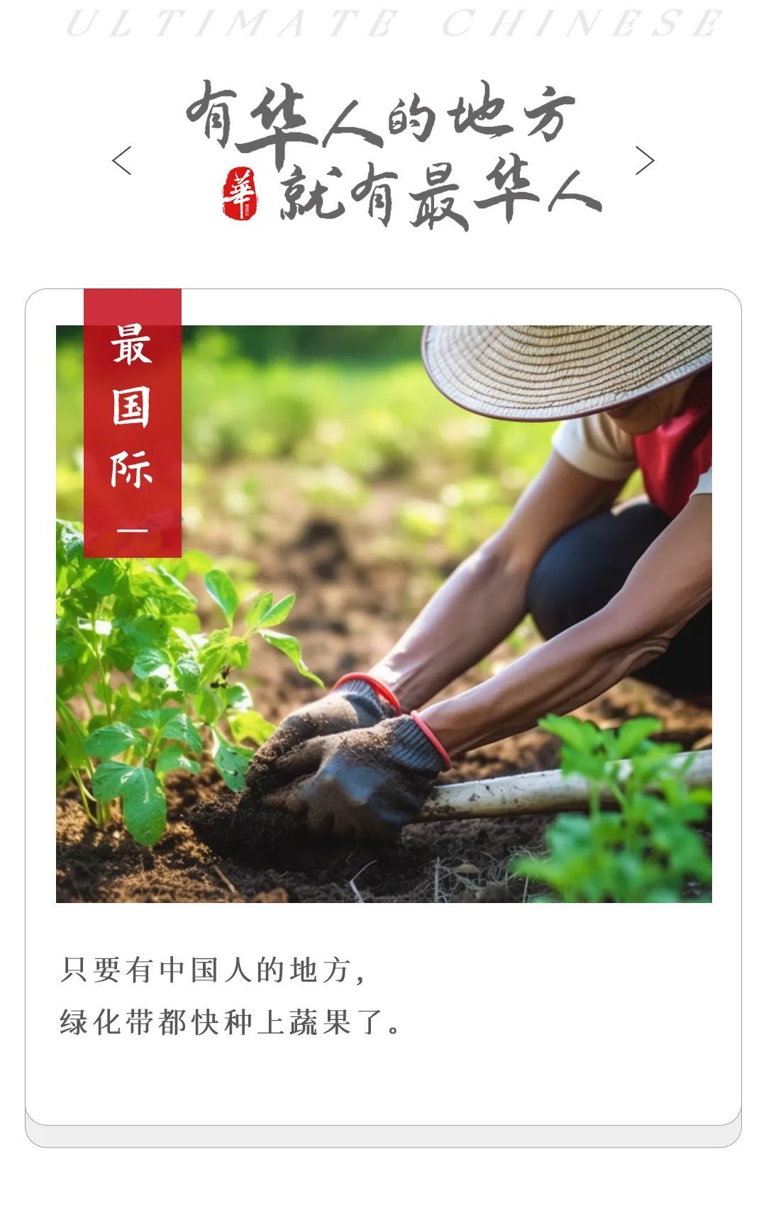 ● 图片来源：摄图网