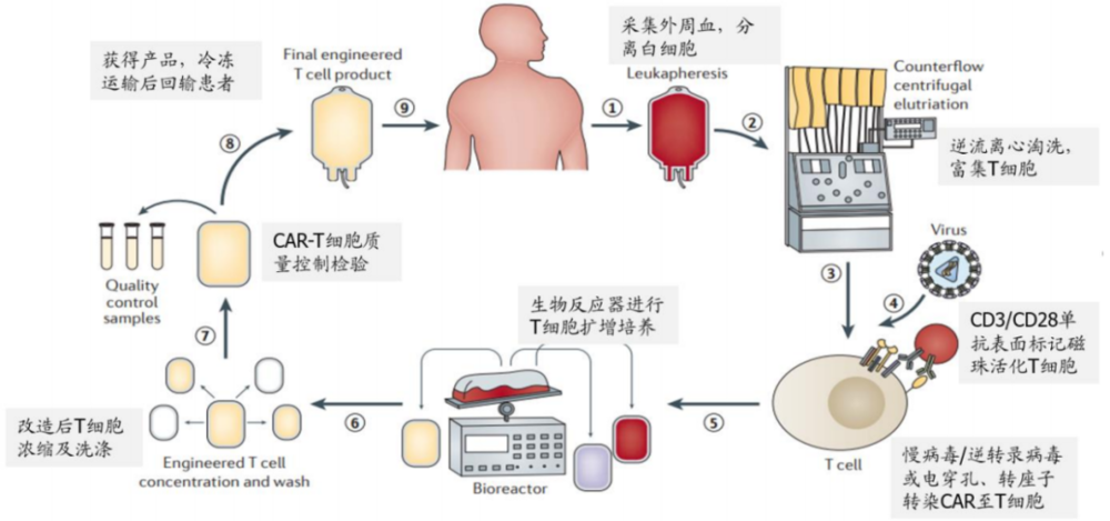 下一个PD-1药物，为什么不是CAR-T？ - 吾爱微网