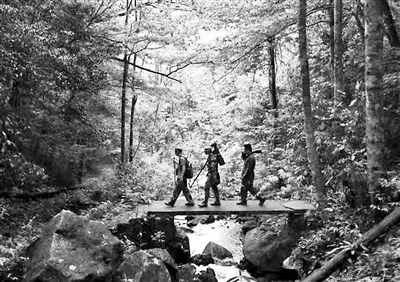 石坑崆又名莽山峰,海拔1902米,是广东第一高峰