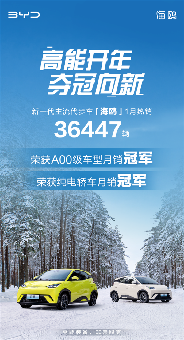 代步车之王 海鸥获A00级车型+纯电轿车月销冠军!
