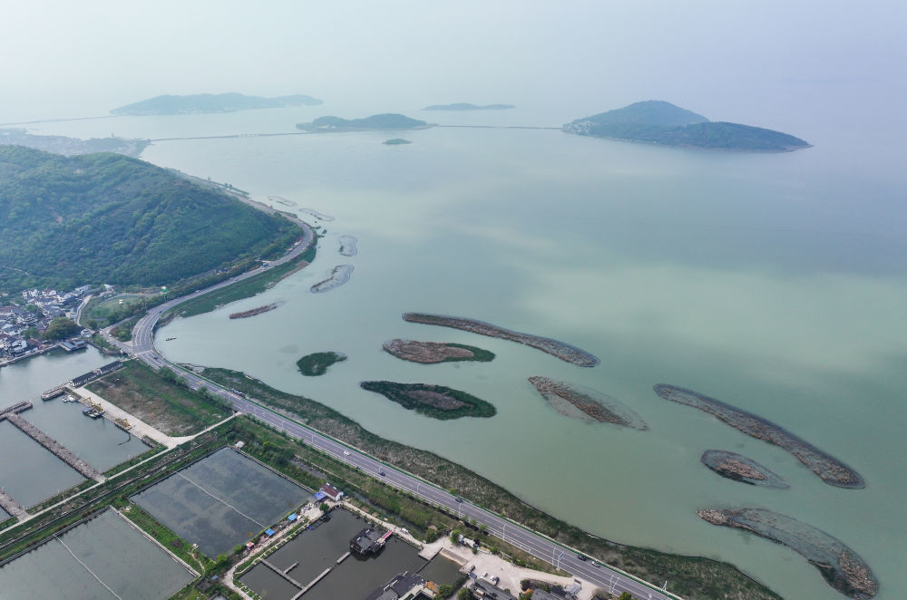 这是江苏省苏州市吴中区金庭镇环太湖湿地带修复项目（2024年4月11日摄，无人机照片）。