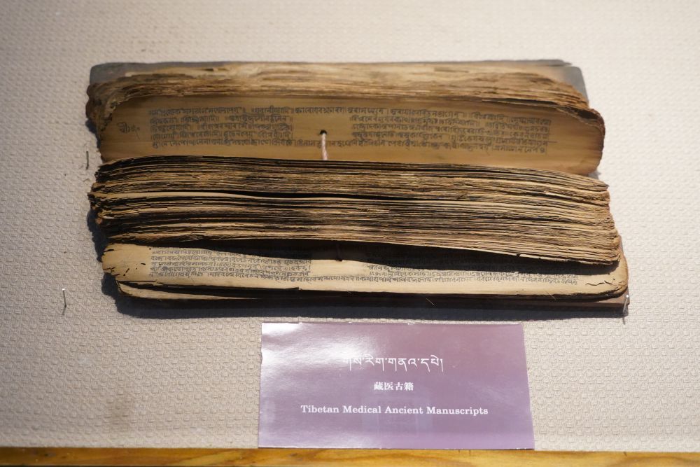4月18日，在青海藏医药文化博物馆展厅内展示的藏医古籍。新华社记者 耿辉凰摄