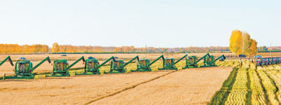 建设好现代农业产业园（新时代画卷&middot;国家现代农业产业园①）