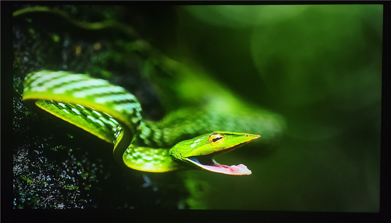 3K价位无对手!电视S65 Mini LED评测:控黑优秀 显示延迟仅8ms