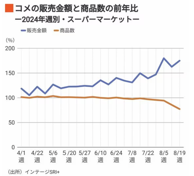 作者供图