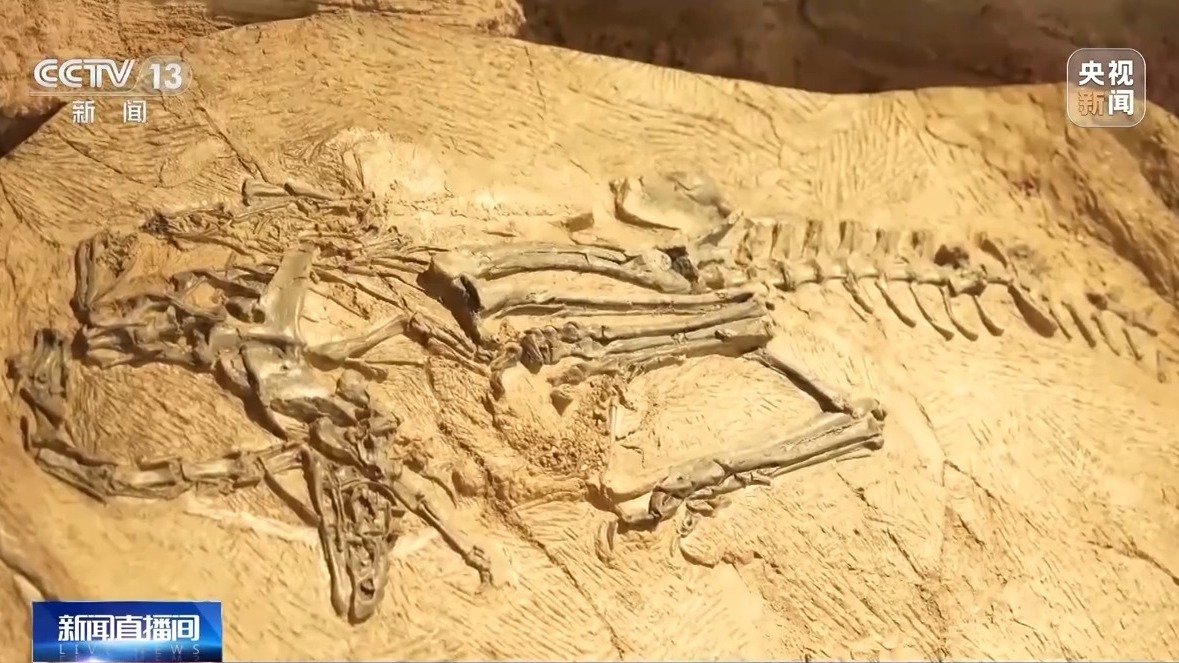 3d扫描,沉浸影像 国际博物馆日打卡清单请查收_凤凰网资讯_凤凰网