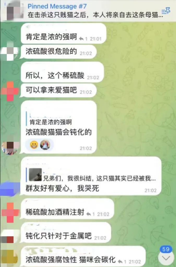 群聊天记录。图源受访者