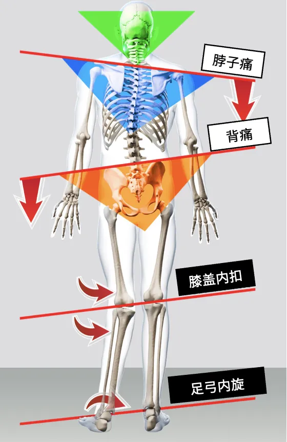 身体最受压迫的部位，却天天被人嫌弃（不是屁股