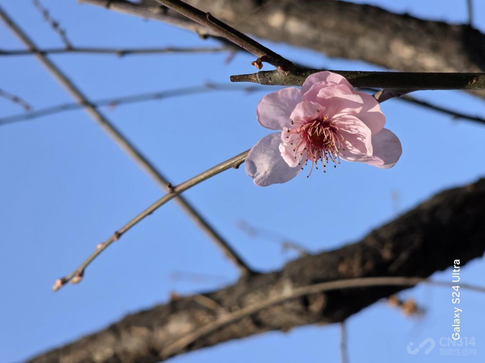 三星Galaxy S24 Ultra评测:演唱会新神器