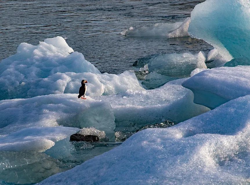 風(fēng)聲丨全國多地地表溫度超70℃，2024又將成為史上最熱一年？