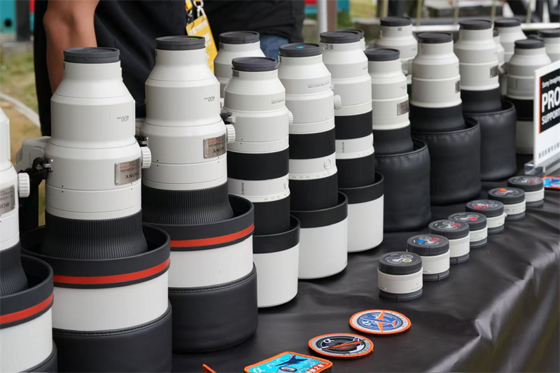 新建 DOCX 文档1214.png