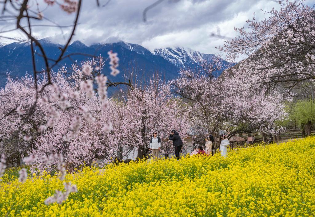 2024年3月31日，游客在西藏林芝嘎拉村拍照留念。新华社记者孙非 摄