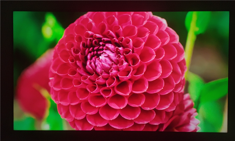 3K价位无对手!电视S65 Mini LED评测:控黑优秀 显示延迟仅8ms