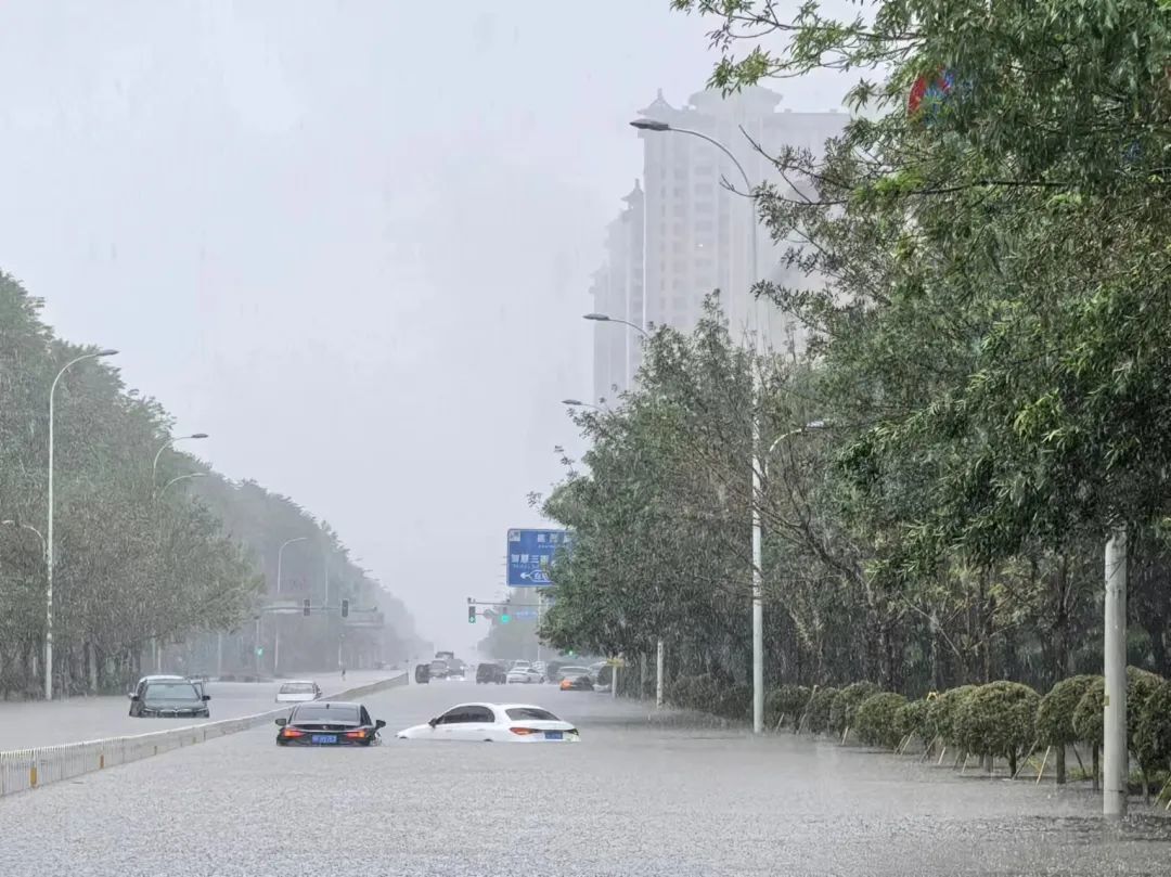 沈阳市浑南区一处积水街道上，多辆车抛锚被淹（央广网记者 李子平 摄）