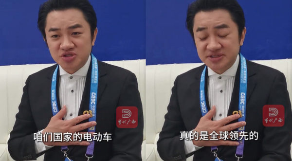 王祖蓝夸国产电动汽车